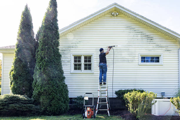 Best Window and Screen Pressure Cleaning in Clancy, MT
